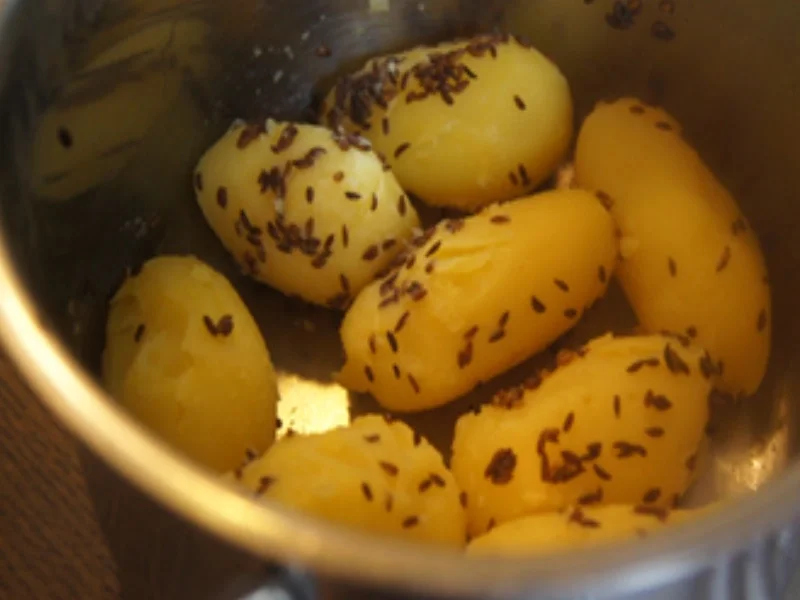 Schlemmerfilet mit Rahm-Kohlrabi und Kümmel-Pellkartoffeln - Rezept - Bild Nr. 10