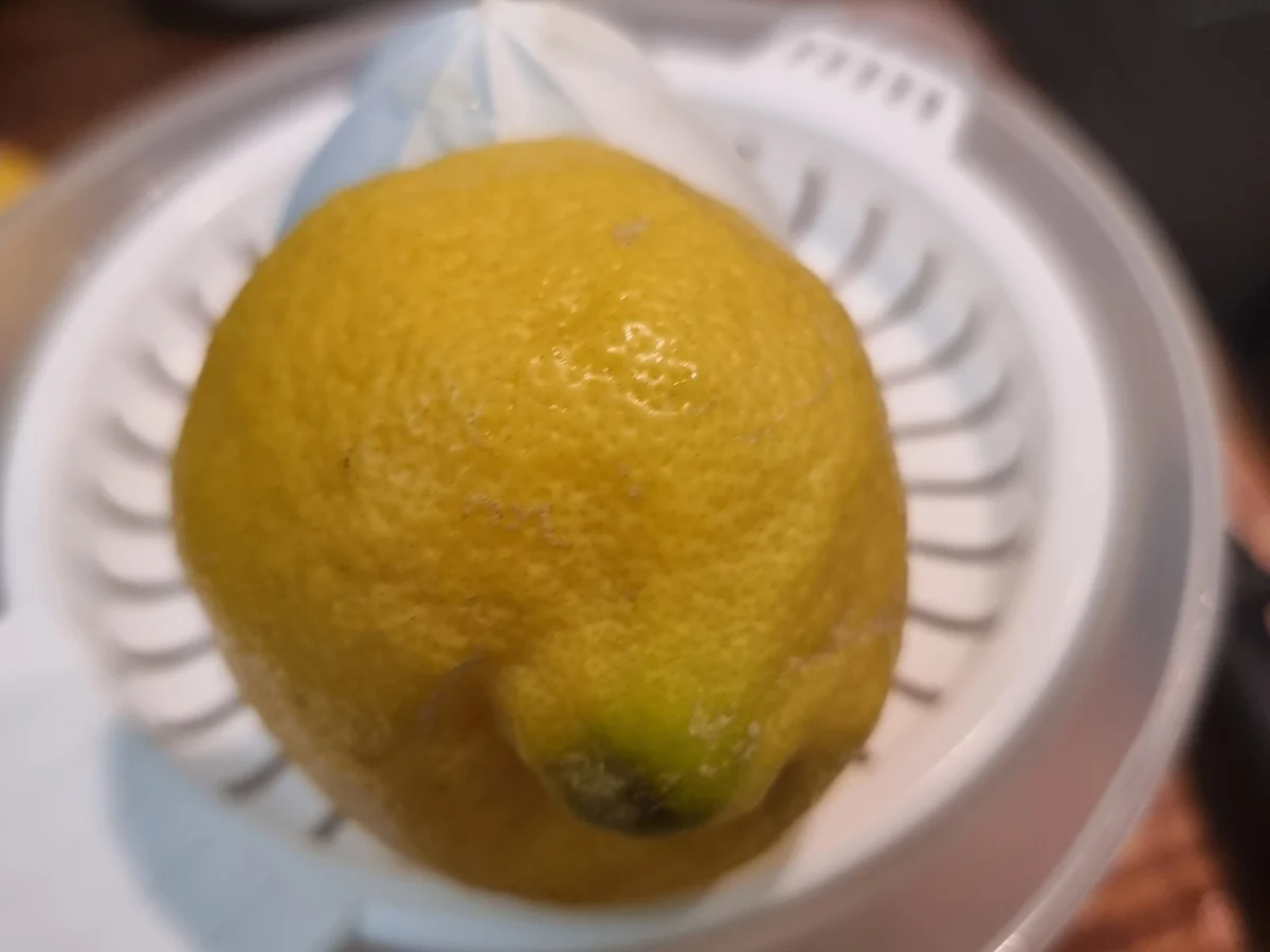 Rezept: Holunderblüten-Gelee Bild Nr. 17391 Holunderblüten-Gelee - Rezept - Bild Nr. 17391