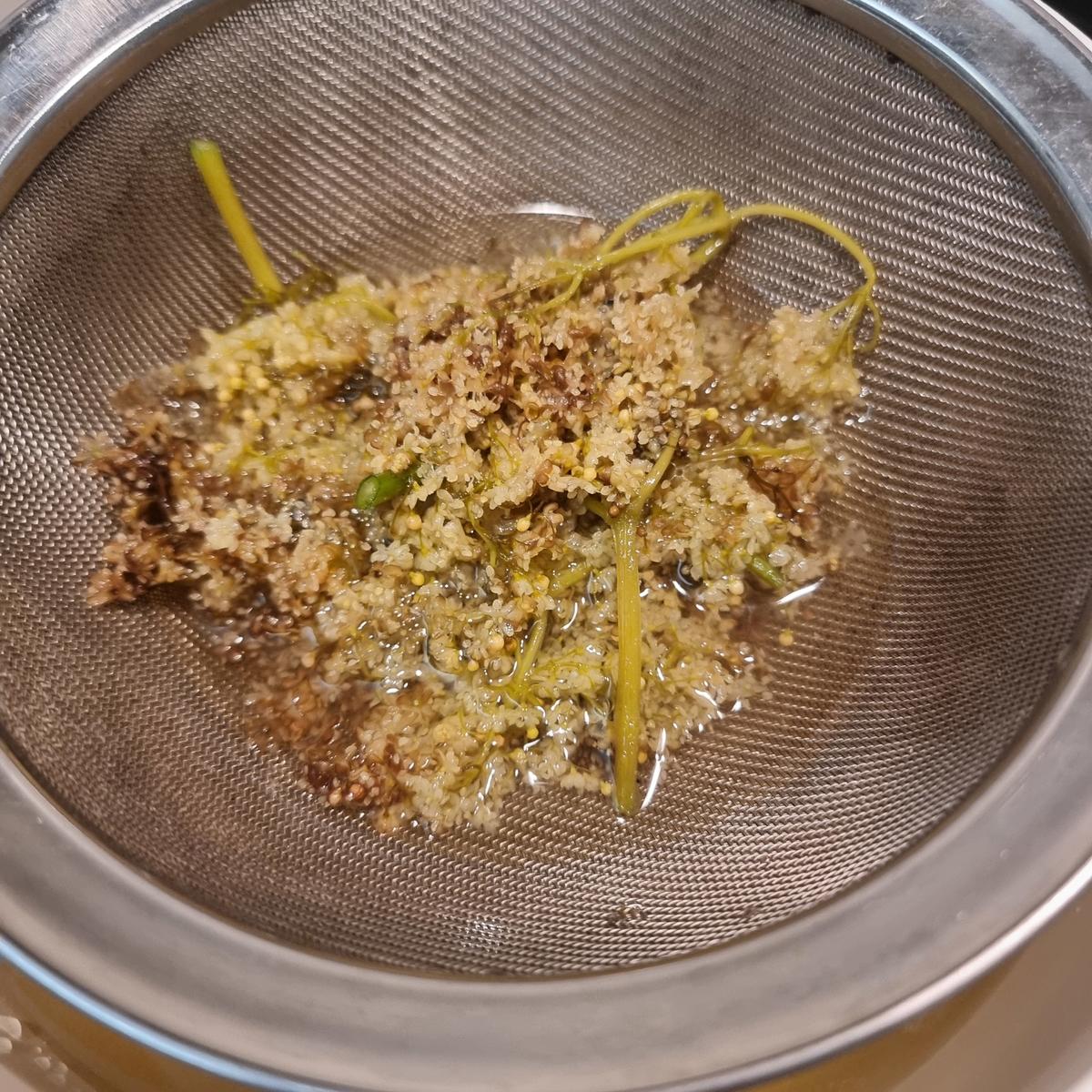 Holunderblüten-Gelee - Rezept - Bild Nr. 17393