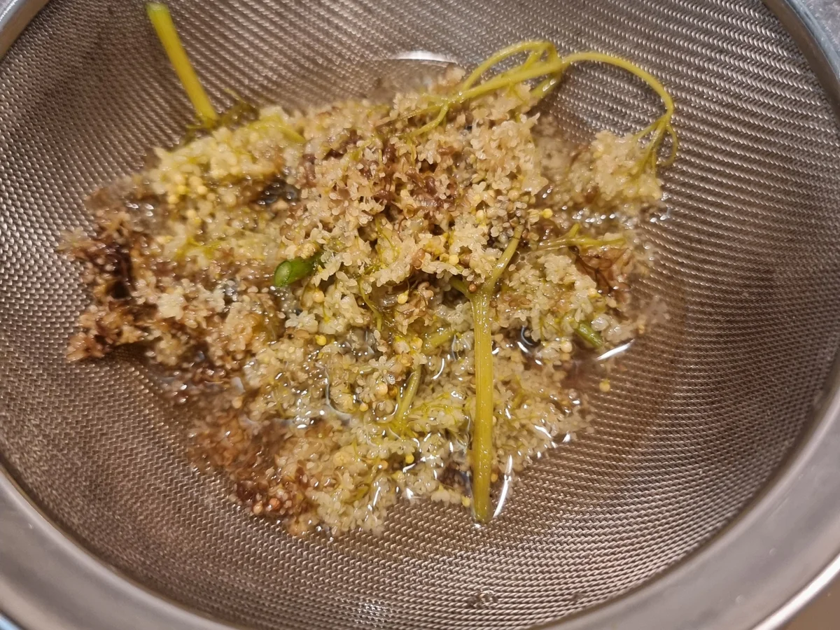 Rezept: Holunderblüten-Gelee Bild Nr. 17393 Holunderblüten-Gelee - Rezept - Bild Nr. 17393