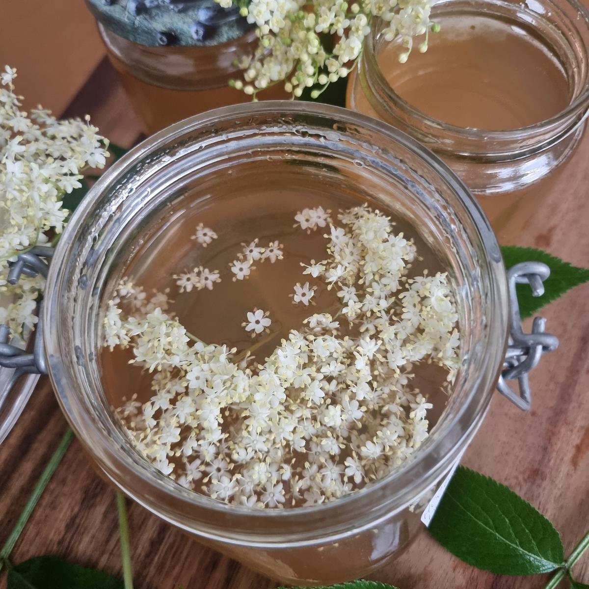 Holunderblüten-Gelee - Rezept - Bild Nr. 17396