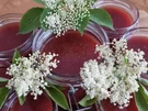 Erdbeer-Holunderblüten-Marmelade - Rezept - Bild Nr. 17390