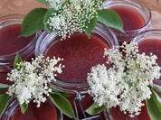 Erdbeer-Holunderblüten-Marmelade - Rezept - Bild Nr. 17390