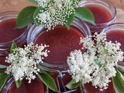 Erdbeer-Holunderblüten-Marmelade - Rezept - Bild Nr. 17390