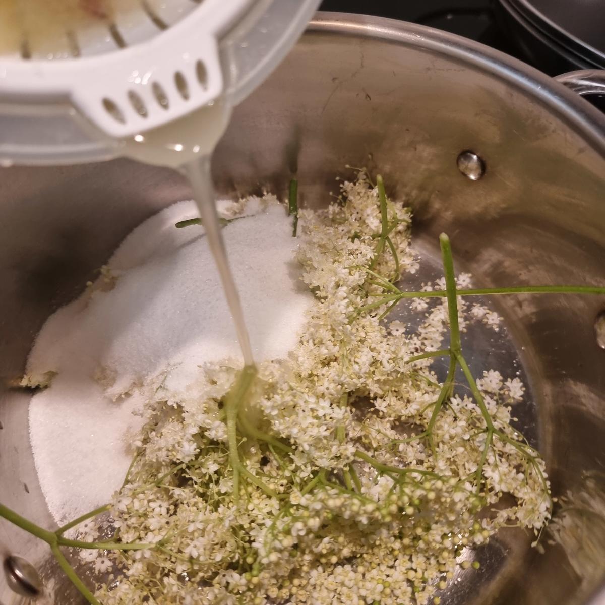 Erdbeer-Holunderblüten-Marmelade - Rezept - Bild Nr. 17394