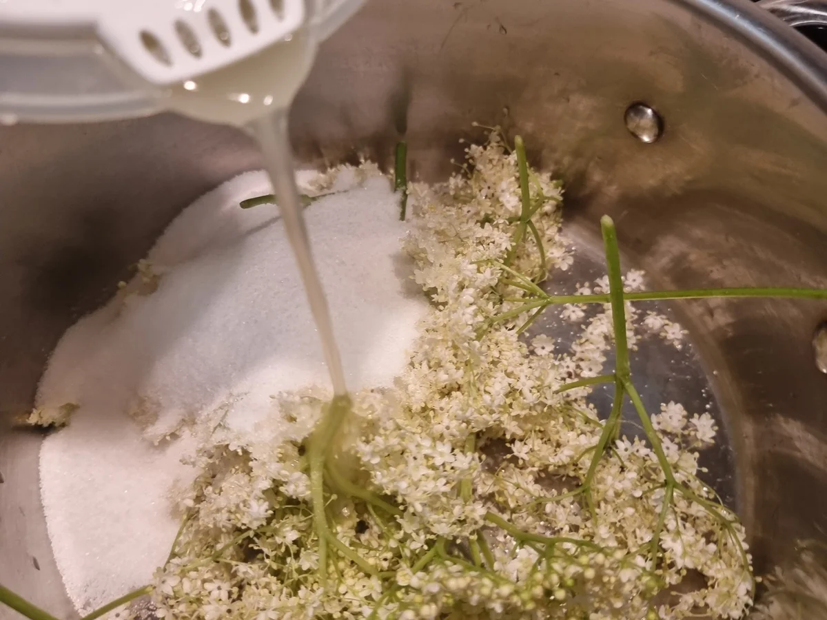 Rezept: Erdbeer-Holunderblüten-Marmelade Bild Nr. 17394 Erdbeer-Holunderblüten-Marmelade - Rezept - Bild Nr. 17394