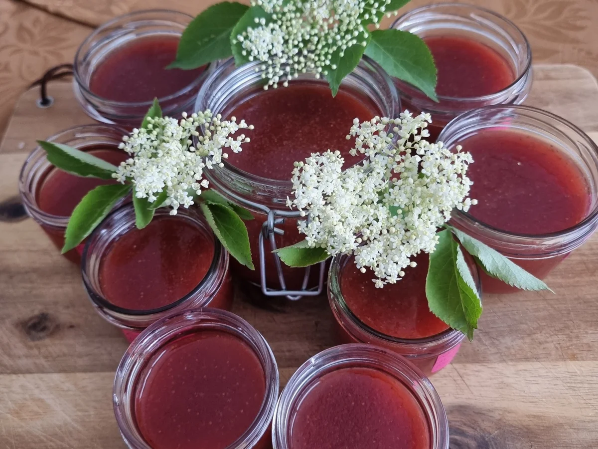 Rezept: Erdbeer-Holunderblüten-Marmelade Bild Nr. 17404 Erdbeer-Holunderblüten-Marmelade - Rezept - Bild Nr. 17404
