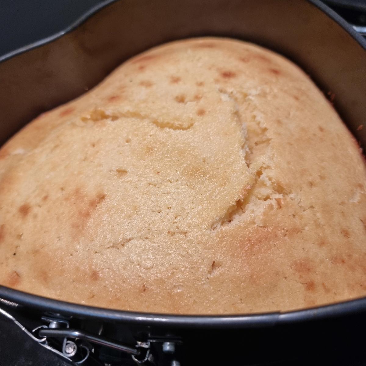 Zitronen-Holunderblüten-Kuchen - Rezept - Bild Nr. 17404