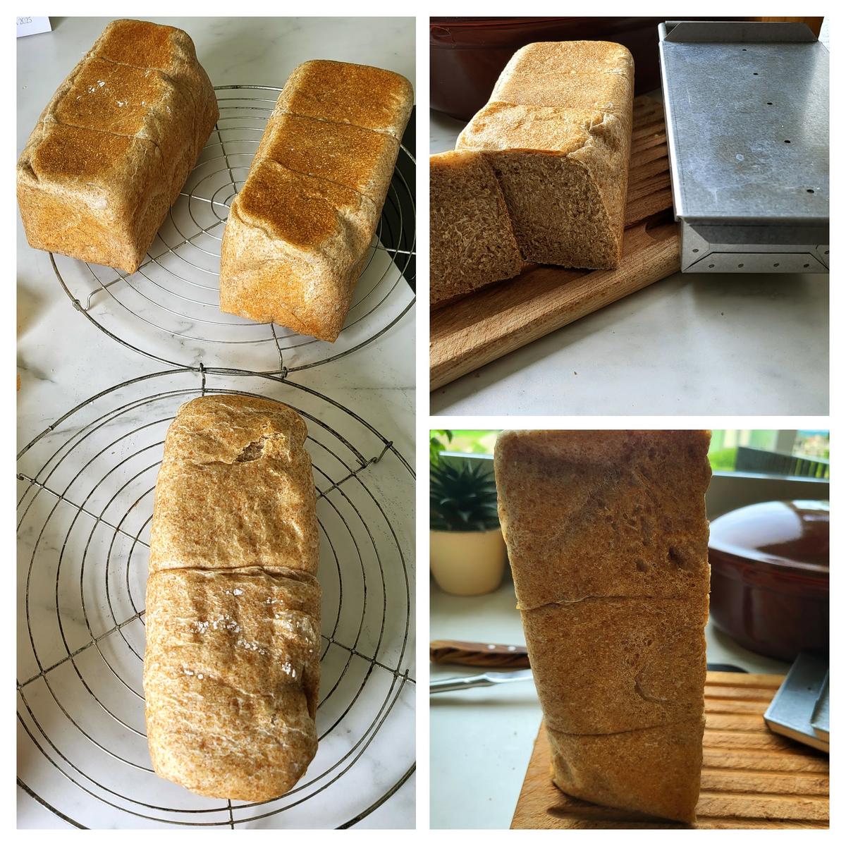Buttertoast aus Sauerteig - Rezept - Bild Nr. 17405