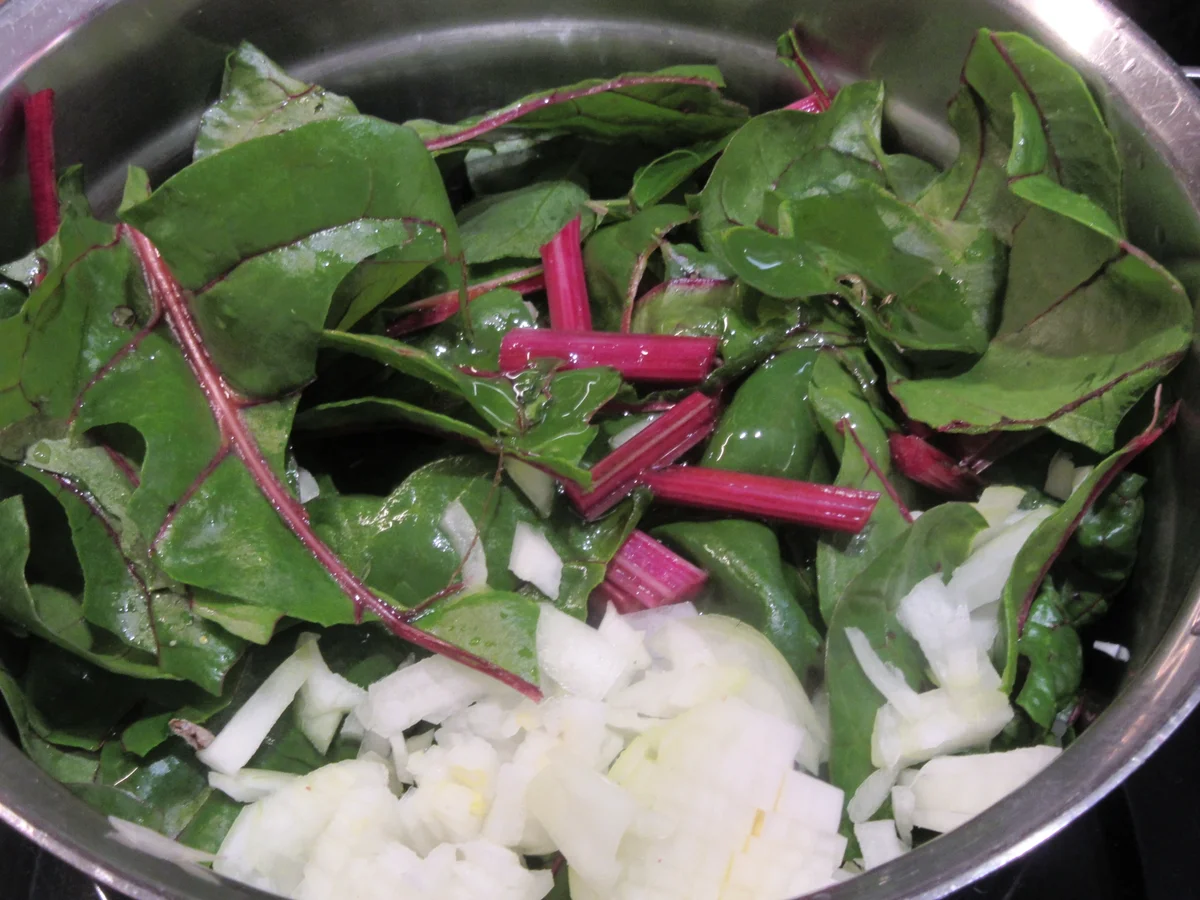 Pasta: Pilz-Lasagne - Rezept - Bild Nr. 6