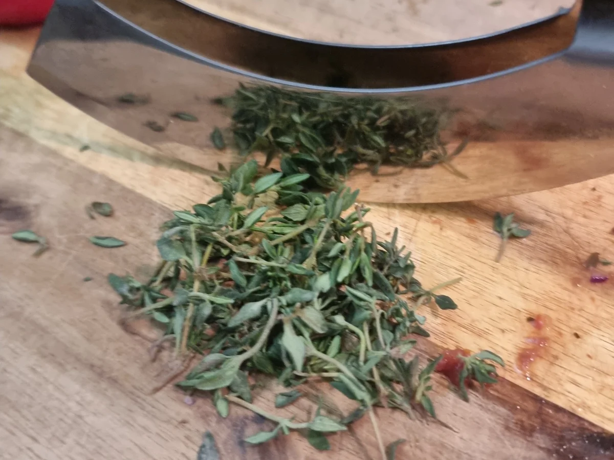 Pasta mit Tomatensauce - Rezept - Bild Nr. 17408