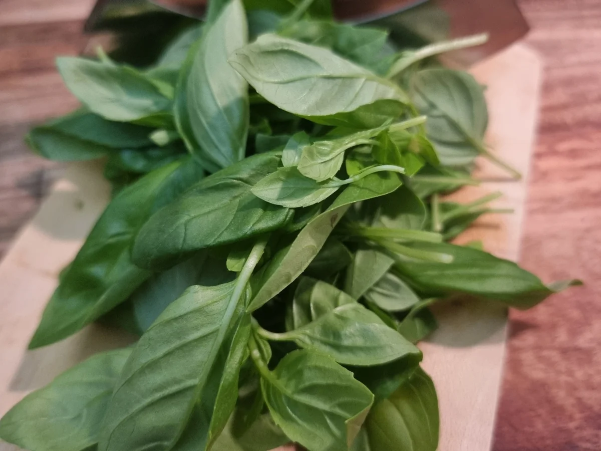 Pasta mit Tomatensauce - Rezept - Bild Nr. 17417