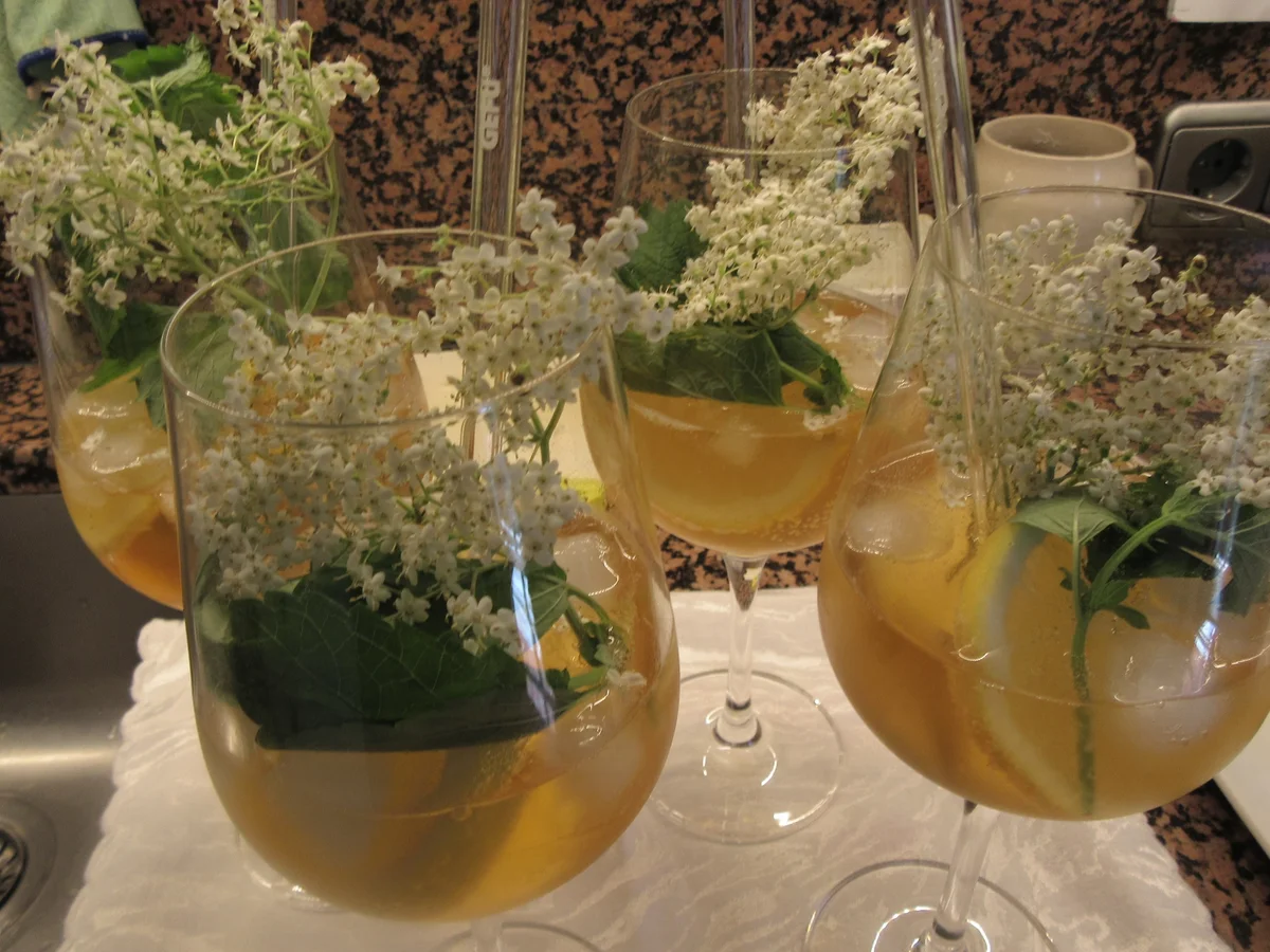 Getränke: Hugo, der Sanfte - Rezept - Bild Nr. 17418