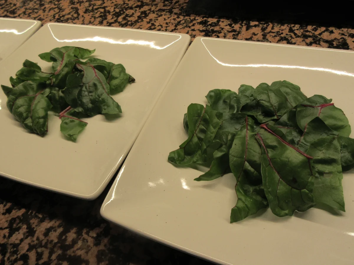 Rezept: Vorspeisen: Pochiertes Ei auf Mangoldsalat Bild Nr. 17422 Vorspeisen: Pochiertes Ei auf Mangoldsalat - Rezept - Bild Nr. 17422