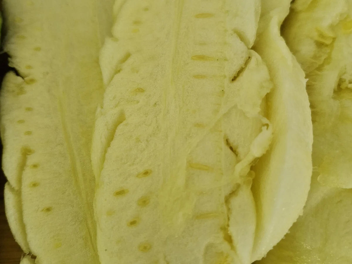 Rezept: Gefüllte Zucchini ........ mal anders Bild Nr. 17422 Gefüllte Zucchini ........ mal anders - Rezept - Bild Nr. 17422