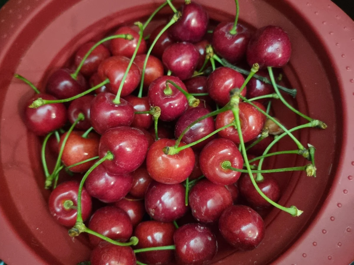 Kirsch-Marmelade - Rezept - Bild Nr. 17420