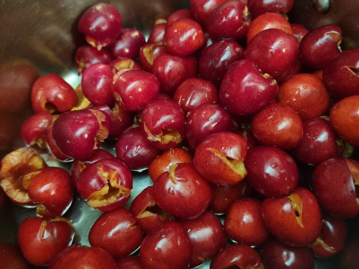 Kirsch-Marmelade - Rezept - Bild Nr. 17421