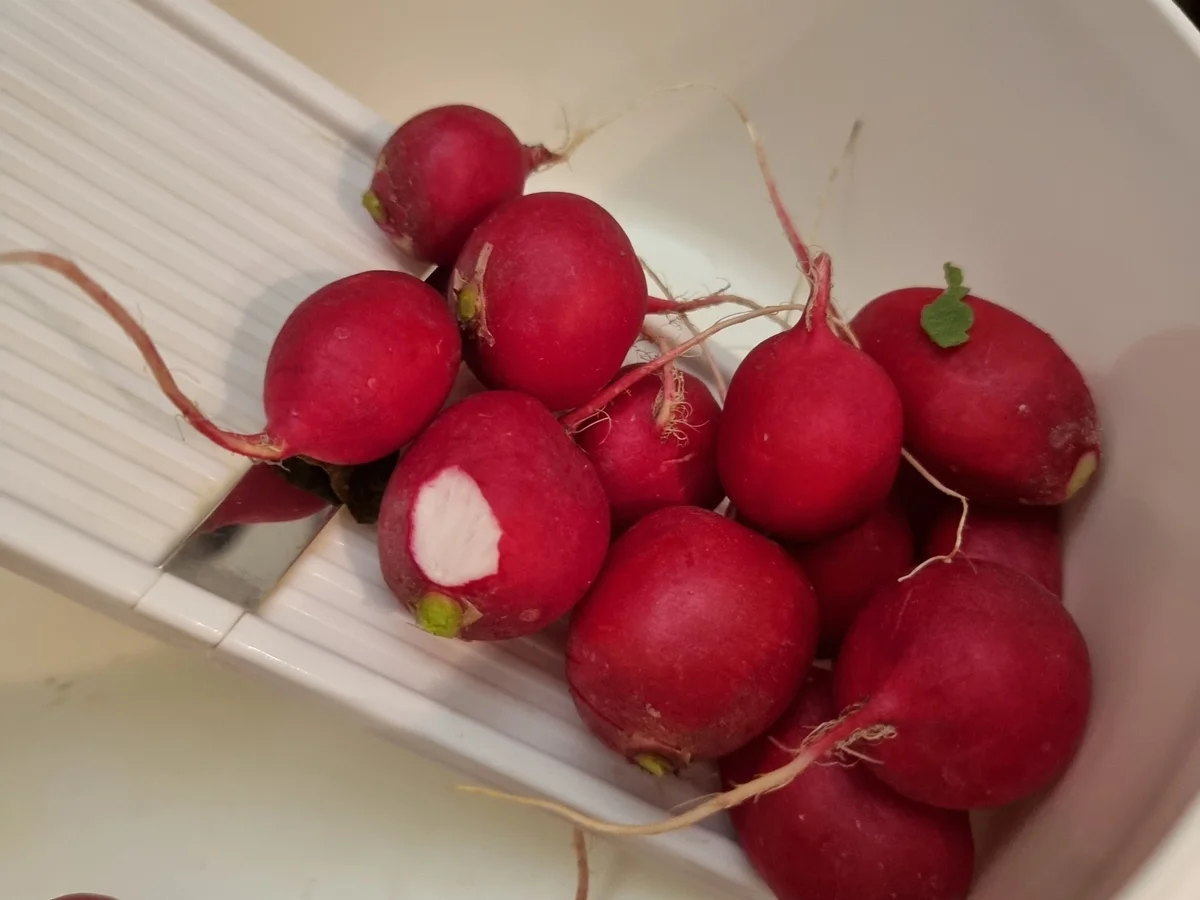 Riesen-Rösti mit Salat - Rezept - Bild Nr. 17461