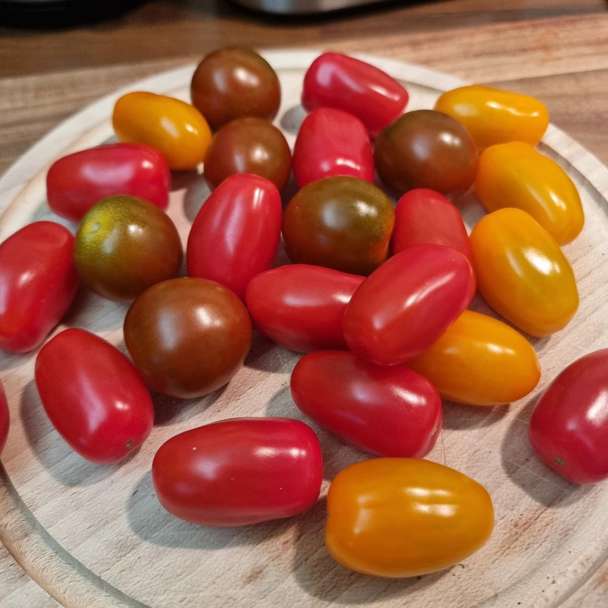 Frischkäse-Tomaten-Tarte - Rezept - Bild Nr. 17452