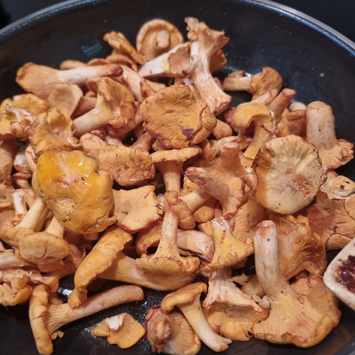 Gebratene Gnocchi mit Pfifferlingen und Ziegenkäse - Rezept - Bild Nr. 17449