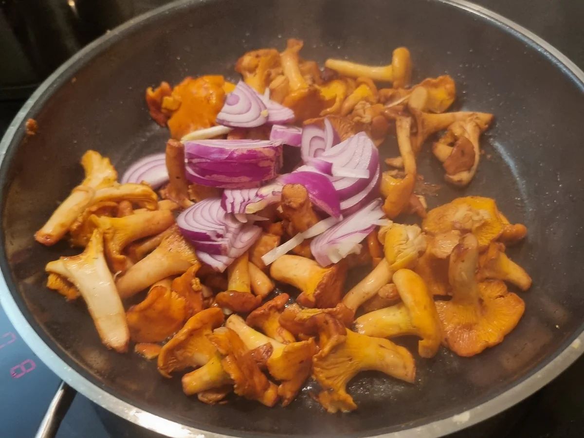 Rezept: Gebratene Gnocchi mit Pfifferlingen und Ziegenkäse Bild Nr. 17450 Gebratene Gnocchi mit Pfifferlingen und Ziegenkäse - Rezept - Bild Nr. 17450