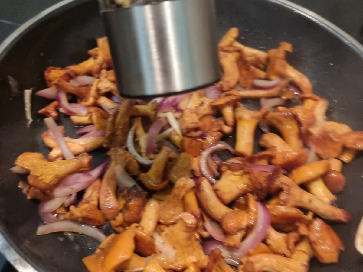 Rezept: Gebratene Gnocchi mit Pfifferlingen und Ziegenkäse Bild Nr. 17452 Gebratene Gnocchi mit Pfifferlingen und Ziegenkäse - Rezept - Bild Nr. 17452