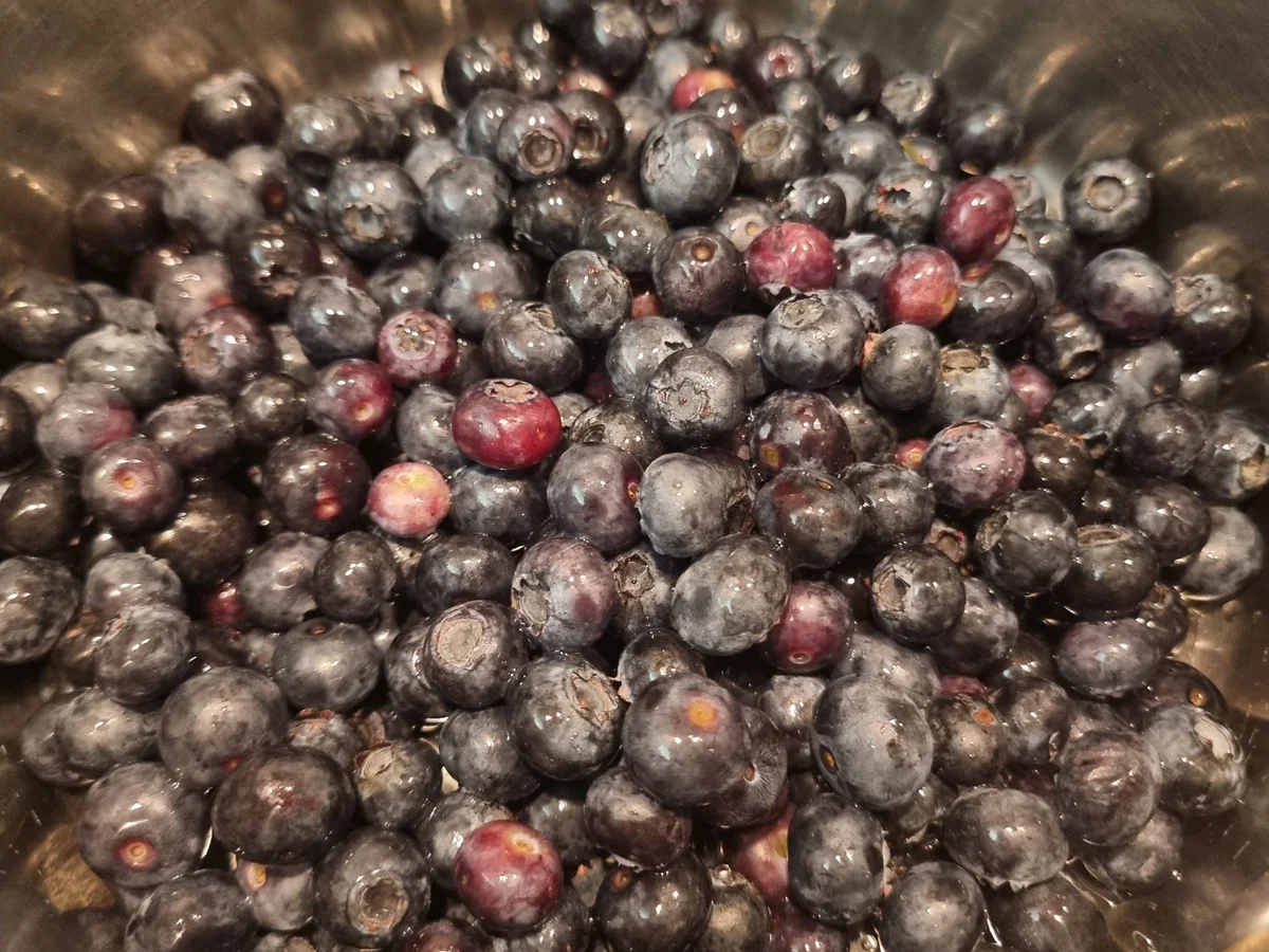 Heidelbeer-Basilikum-Marmelade - Rezept - Bild Nr. 17446