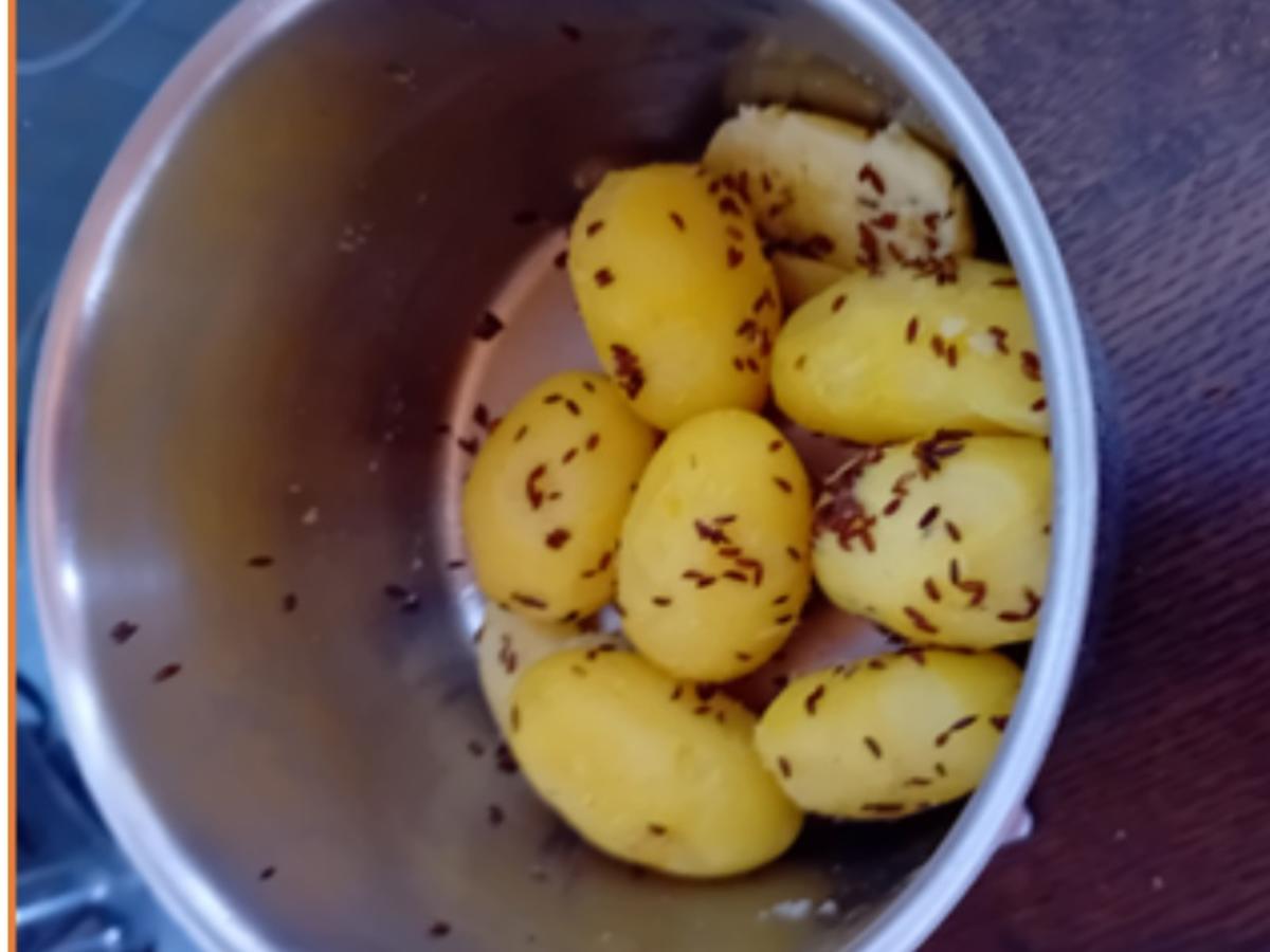 Schlemmer-Filet mit Butter-Buschbohnen und Kümmel-Pellkartoffeln - Rezept - Bild Nr. 8