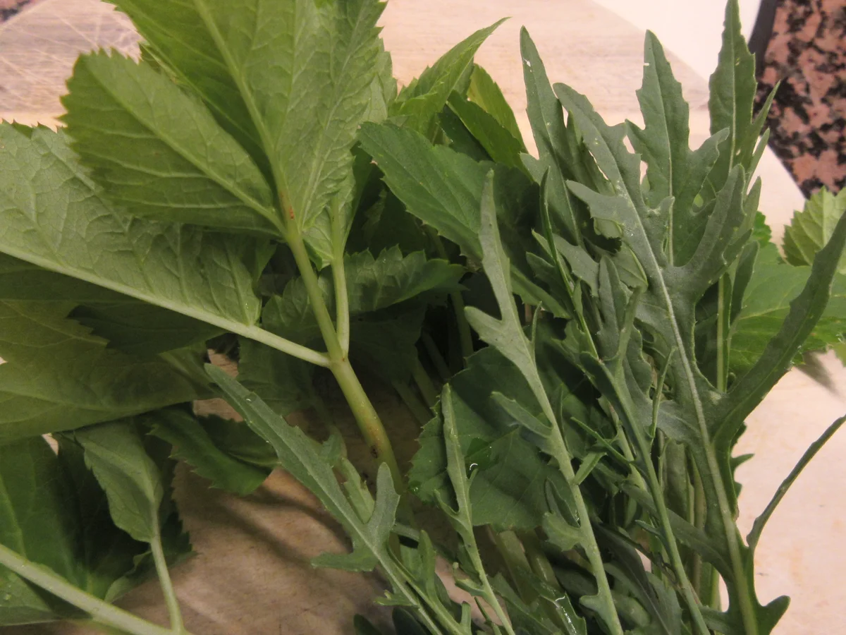 Rezept: Zucchini-Bratlinge Bild Nr. 17459 Zucchini-Bratlinge - Rezept - Bild Nr. 17459