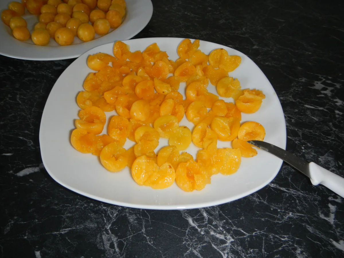 Rezept: Mirabellen-Schmand-Kuchen Bild Nr. 17461 Mirabellen-Schmand-Kuchen - Rezept - Bild Nr. 17461