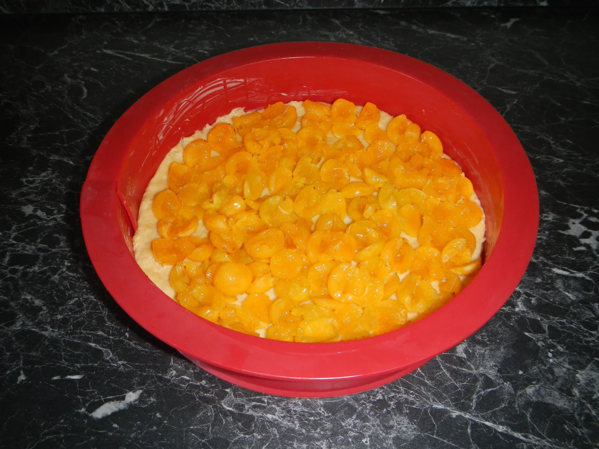 Rezept: Mirabellen-Schmand-Kuchen Bild Nr. 17462 Mirabellen-Schmand-Kuchen - Rezept - Bild Nr. 17462