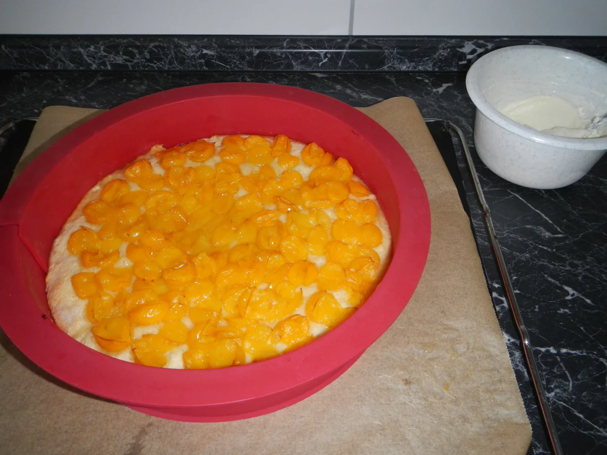 Rezept: Mirabellen-Schmand-Kuchen Bild Nr. 17463 Mirabellen-Schmand-Kuchen - Rezept - Bild Nr. 17463