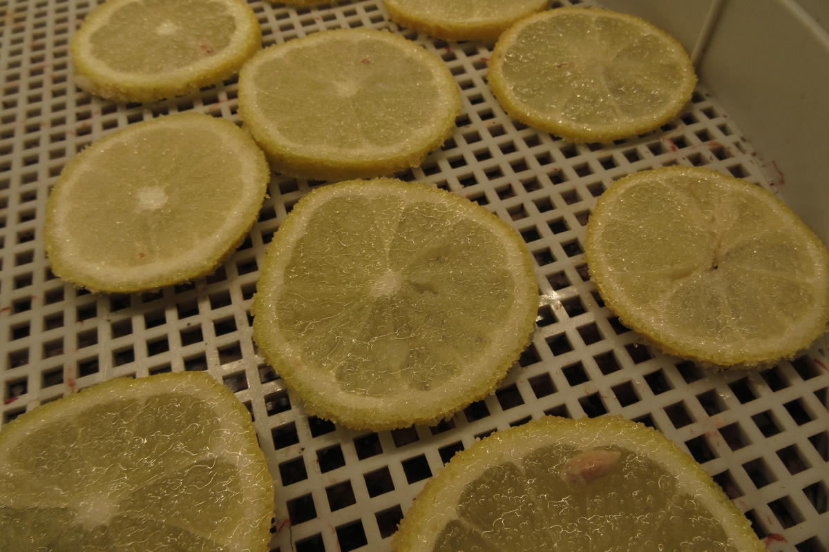 Rezept: Dessert: Zitronen-Flan - gebacken Bild Nr. 17641 Dessert: Zitronen-Flan - gebacken - Rezept - Bild Nr. 17641