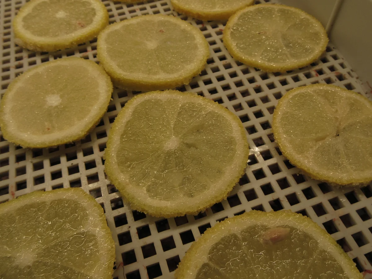 Rezept: Dessert: Zitronen-Flan - gebacken Bild Nr. 17641 Dessert: Zitronen-Flan - gebacken - Rezept - Bild Nr. 17641