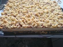 Apfel-Quark-Puddingkuchen mit Streusel - Rezept - Bild Nr. 17466