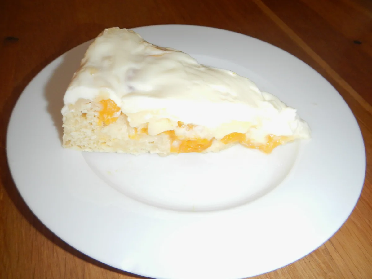 Mirabellen-Pudding-Kuchen - Rezept - Bild Nr. 17467