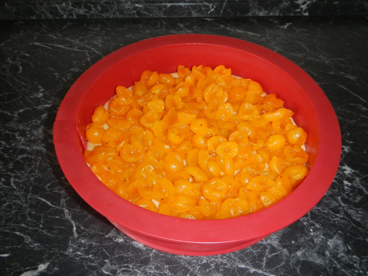 Mirabellen-Pudding-Kuchen - Rezept - Bild Nr. 17472