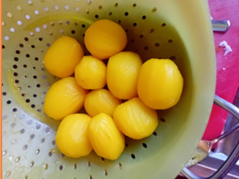 Rezept: Steinpilzschnitzel mit frittierten Blumenkohl im Bier-Teig, Tsatsiki und Drillingen Bild Nr. 17491 Steinpilzschnitzel mit frittierten Blumenkohl im Bier-Teig, Tsatsiki und Drillingen - Rezept - Bild Nr. 17491