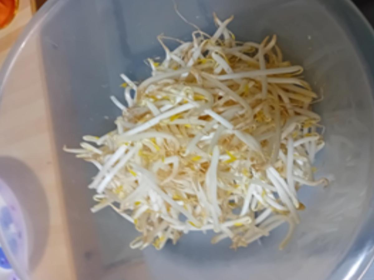 Asiatische Frühlingsrollen - Rezept - Bild Nr. 4