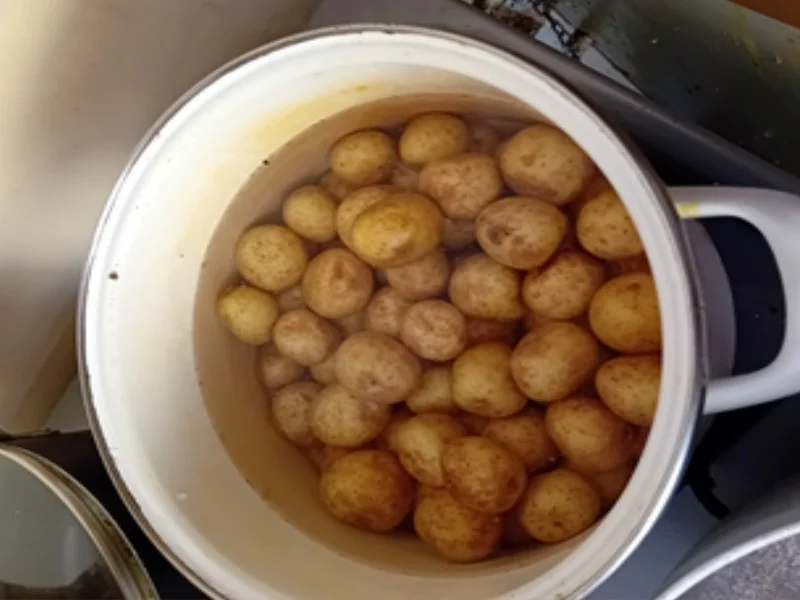 Gekochte Eier in Sahne-Senf-Sauce mit Min-Pellkartoffeln und Chinakohl-Salat - Rezept - Bild Nr. 4