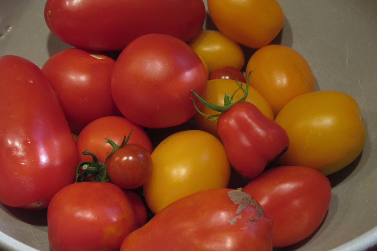 Vorrat: Basis für Tomatensoße - Rezept - Bild Nr. 17487