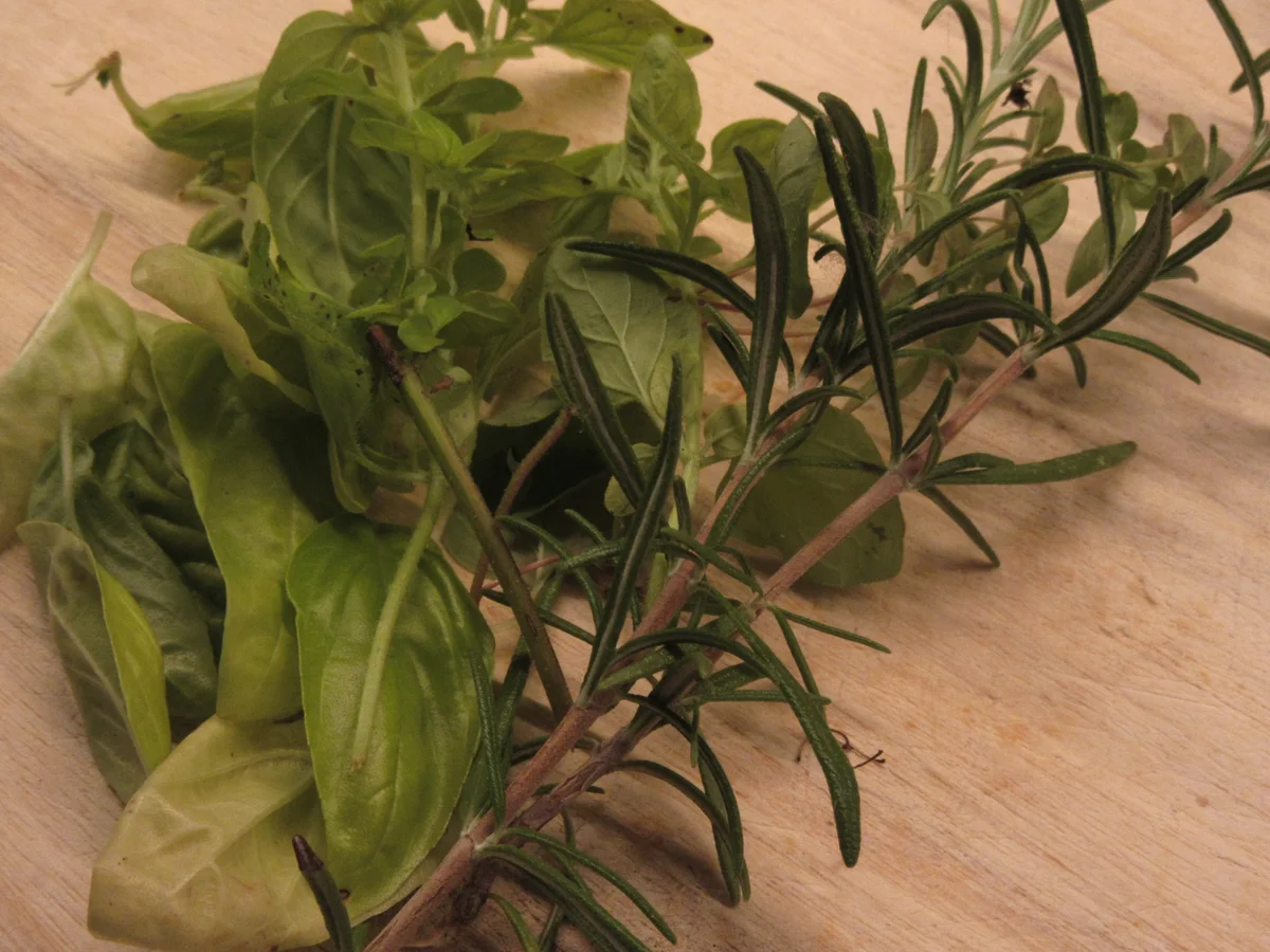 Rezept: Gemüse: Low-Carb-Gemüsefladen Bild Nr. 17494 Gemüse: Low-Carb-Gemüsefladen - Rezept - Bild Nr. 17494