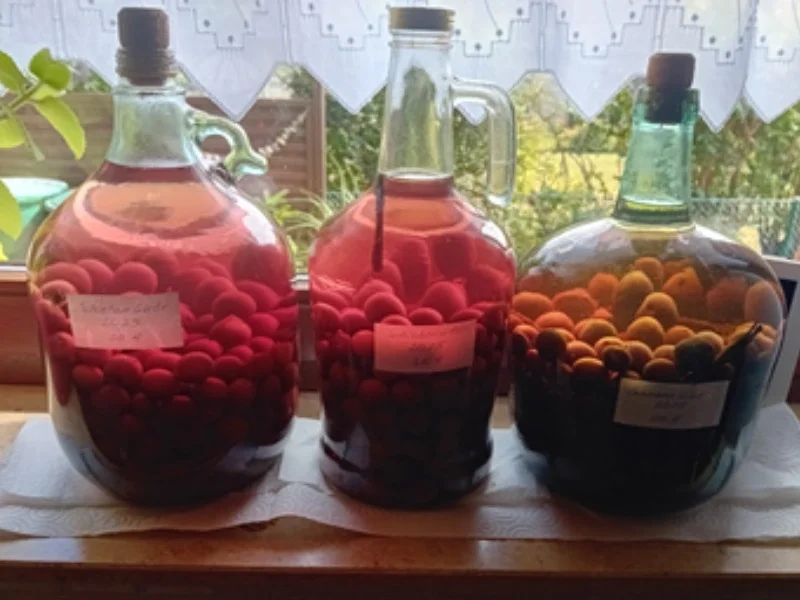 XXL-Schlehenlikör-2025 - Rezept - Bild Nr. 17491