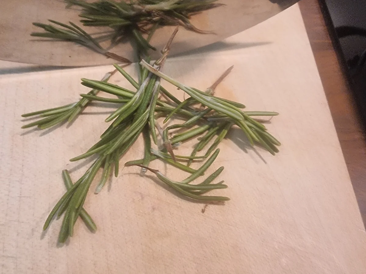 Pfifferling-Risotto - Rezept - Bild Nr. 17494