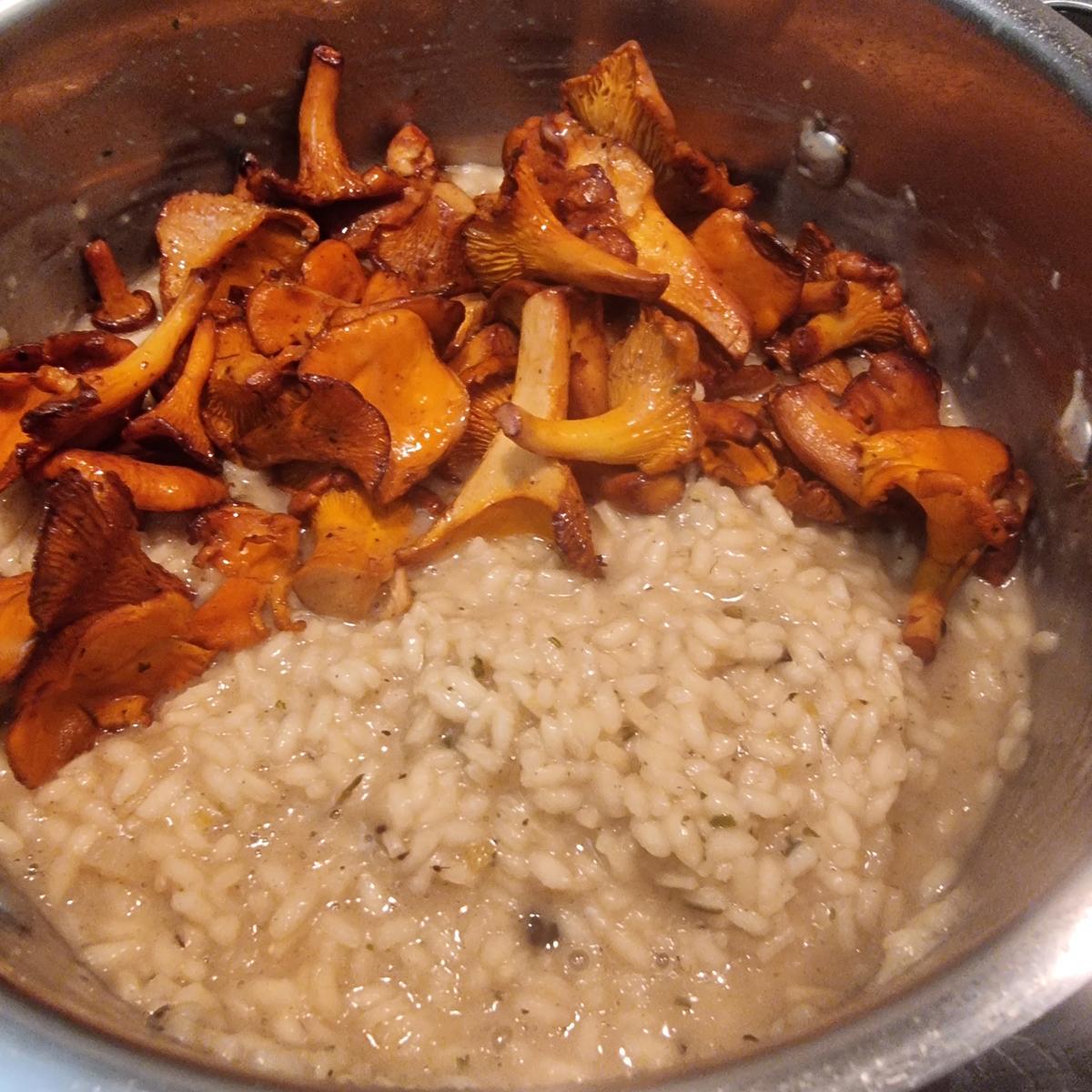Pfifferling-Risotto - Rezept - Bild Nr. 17505