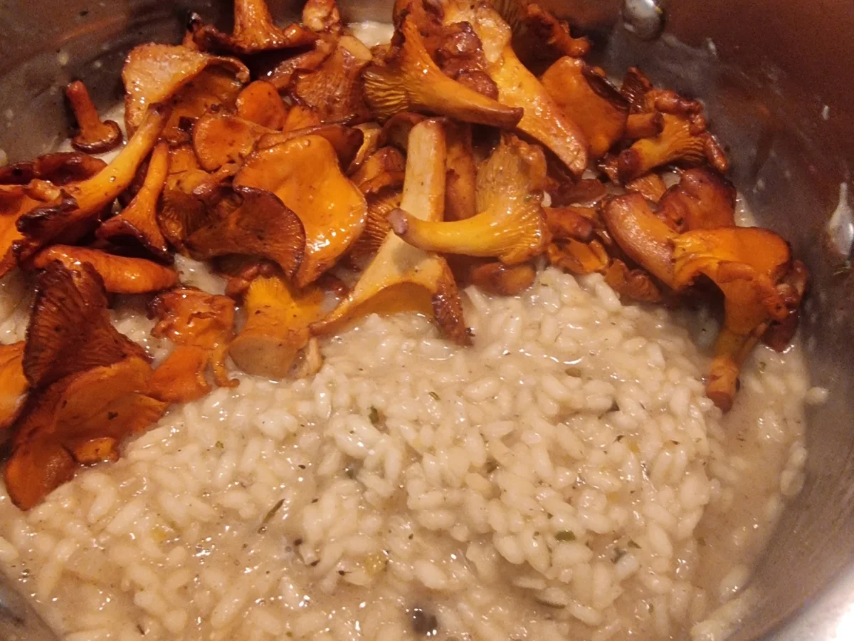 Pfifferling-Risotto - Rezept - Bild Nr. 17505