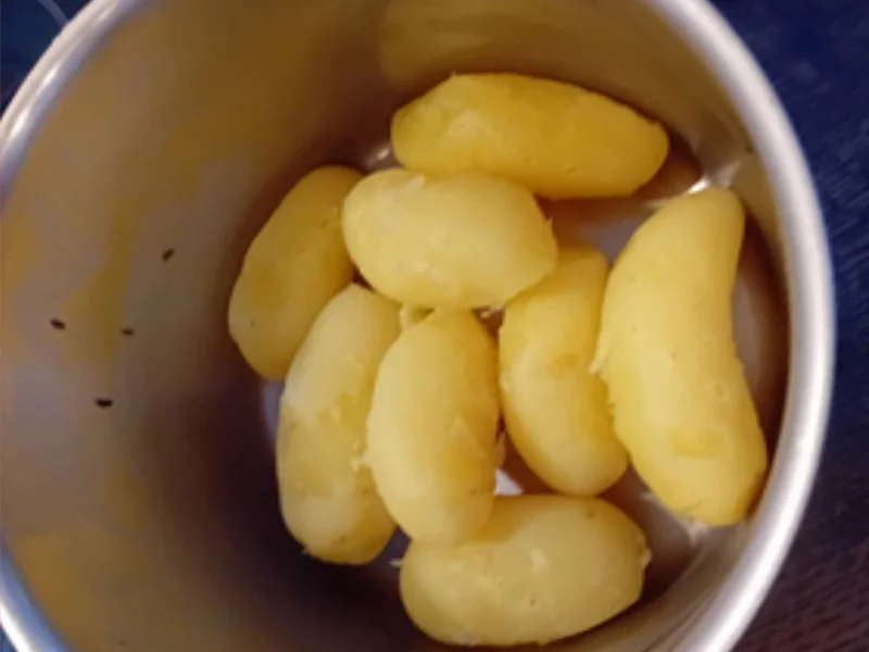 Schlemmer-Filet à la Bordelaise mit Rahm-Kohlrabi und Pellkartoffeln - Rezept - Bild Nr. 8