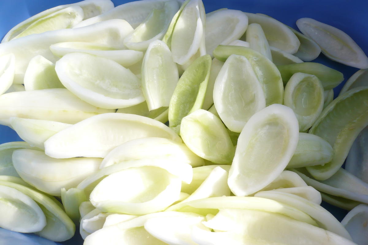 Senfgurken - Rezept - Bild Nr. 17503