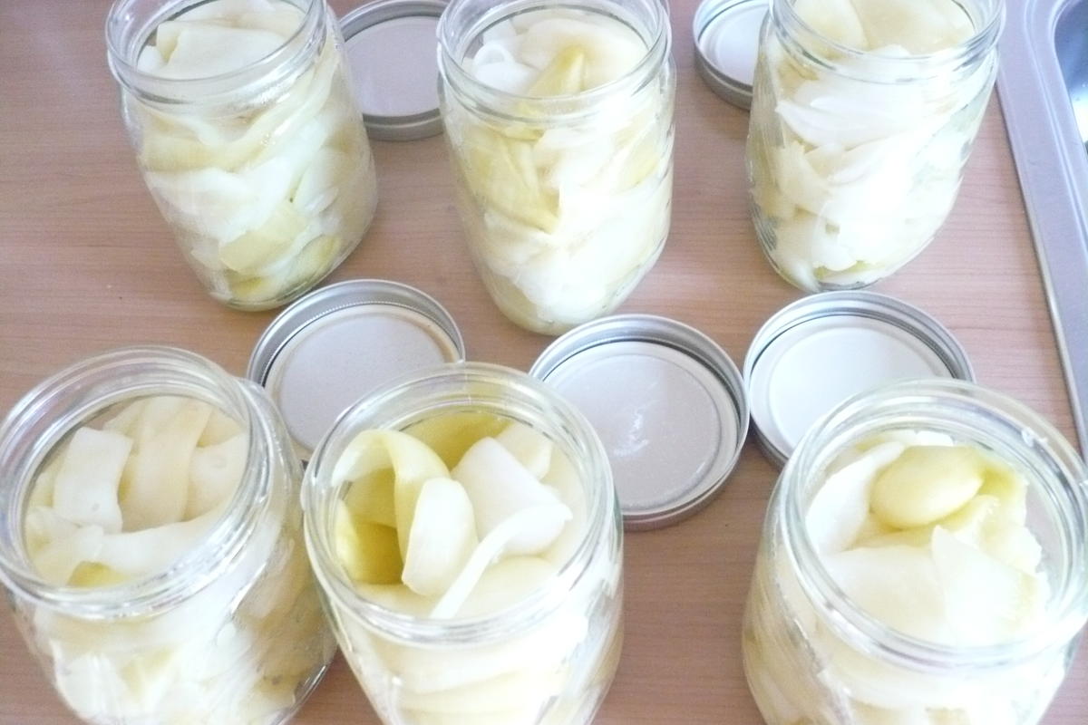 Senfgurken - Rezept - Bild Nr. 17505