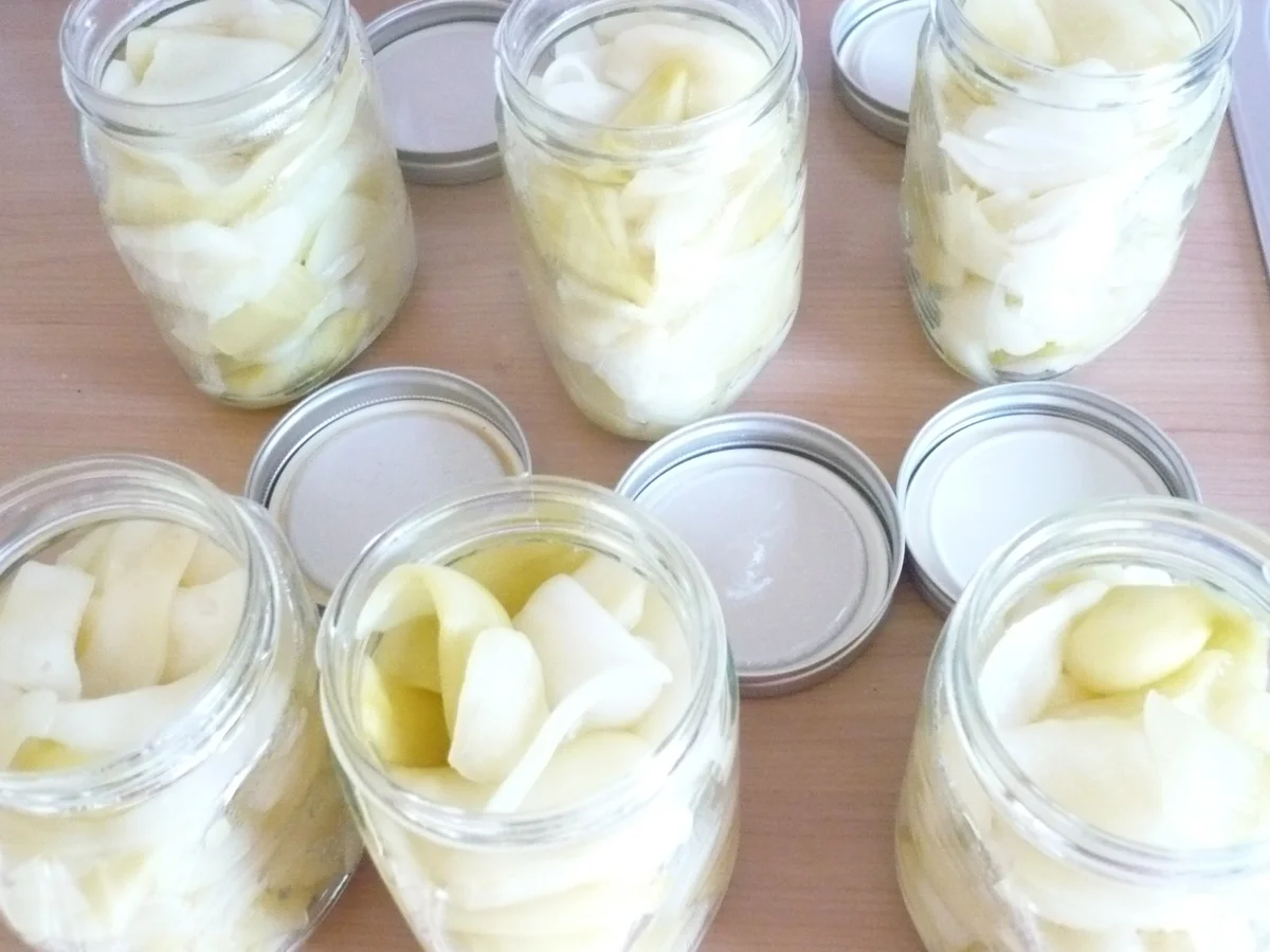 Senfgurken - Rezept - Bild Nr. 17505